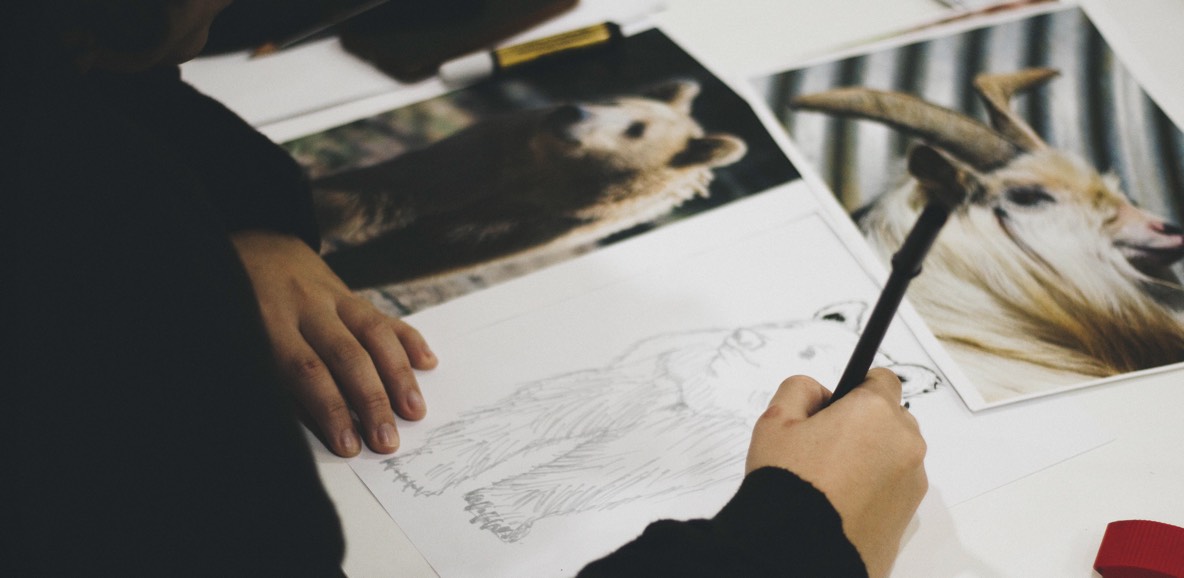 dieren%20leren%20tekenen